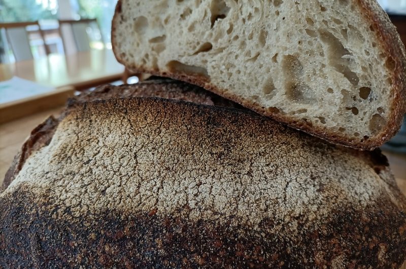 Masa Millet Sourdough Masa Millet Sourdough