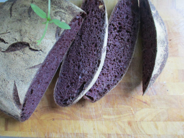 A round loaf of sourdough bread made with purple cornflour